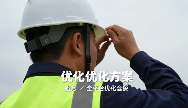 进阶AI排名服务的性能与适用条件分析